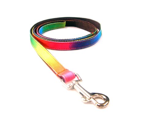 XSmall Rainbow Dog Leash - Nylon Webbing: 1/2