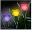 New PAIR OF SOLAR TULIP LIGHTS- ASSORTED COLOUR