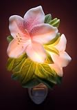 Flowers of Light Night Lights Azalea Ibis & Orchid Designs