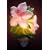 Azalea Night Light - Ibis & Orchid Flowers of Light Collection