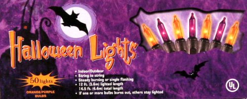 Holiday Orange & Purple String Light Set of 50