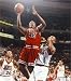 Elton Brand autographed 8x10 Photo (Chicago Bulls)