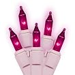 Set of 50 Pink Mini Christmas Lights - White Wire