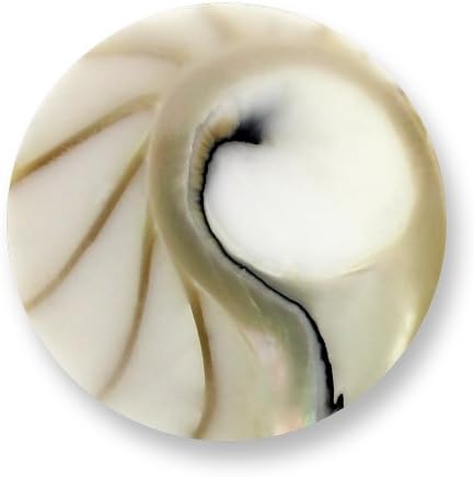 Authentic Mi Moneda Jewelry Coin Nautilus White NAU-13-L Large Reversible "Gift Boxed"