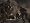 Call of Duty 4 (PC DVD)