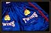 Sports : Twins K-1 Trunks K1T-2