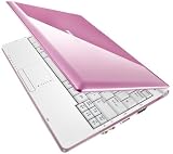 Samsung NC10-11GP 10.2-Inch Pink Netbook - 6 Cell Battery