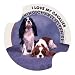 Cavalier King Charles Spaniel Drink Coasters - Style DPA32