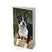 boston_terrier26boston terrier - Boston Terriers 2010 Weekly Pocket Planner