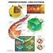 Understanding Cholesterol Anatomical Chart