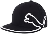 41Bde0Gov0L. SL160  PUMA Mens Monoline 210 Fitted Cap