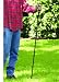 Texsport Trekking Pole