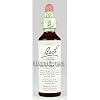 Bach Essence Hornbeam 20 Milliliters