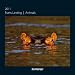 Frans Lanting Animals 2011 Domberger (Square Wall Cal)