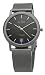 Skagen Titanium Mesh Dark Grey Mens Watch 170LTTM