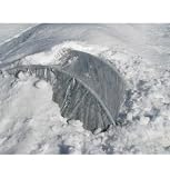 David's Garden Tool Greenhouse Clear Film 4 Mil 10 Foot x 100 Foot Roll
