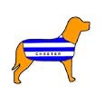 Chester City Personalised Waterproof Dog Coat Size S (14" 35cm) 