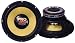 PYRAMID 10'' 550 Watt Striking Gold Color Subwoofer