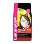 Eukanuba Adult Salmon & Rice Dry Cat Food