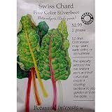Organic Five Color Silverbeet Swiss Chard Seeds - 2 g