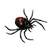 Rubber Stretch Spider - 8 Inches Image