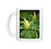 Photo Mugs of DAD-1806 Trillium chloropetalum - a herbaceous perennial that likes moist shady from Ardea Wildlife Pets