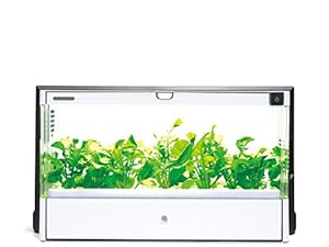 U-ING GreenFarm 水耕栽培器