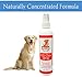 Mr. Peanut's Alcohol Free Anti-Chew Spray, Non-Toxic and Ultra-Safe Chewing Deterrent, Great Puppy & Kitten Training Aid, Made in The USA