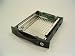 Accusys ACS-75170-B��pSATA�f�B�X�N�Ή�TRAY �� ACS-75170Tray-B