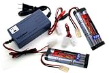 Two 7.2V 3800mAh High Power NiMH Batteries with A 7.2V-12V Smart Charger Two 7.2V 3800mAh High Power NiMH Batteries with A 7.2V-12V Smart Charger
