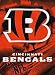 Cincinnati Bengals 60