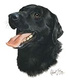 Outdoor Living : Black Lab Regular Flag