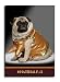 pug39  - Material Bitch Naughty Fabulous Pugs Birthday Greeting Card