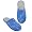 Detroit Lions