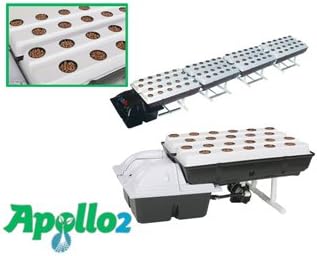 Apollo 2 (22 site system)