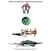 Genetic Architectures / Arquitecturas gen�ticas  (Spanish Edition)