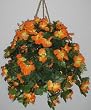 Orange Hibiscus Hanging Basket
