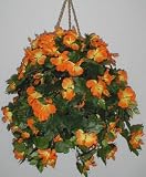 Review Silk Plants Plus  / Orange Hibiscus Hanging Basket