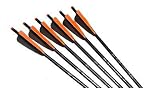 Wicked Ridge 20-Inch Black Aluminum 6 Pack Crossbow Arrows