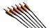 41BfEdrzW0L. SL75  Easton Carbon