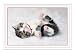 Holiday Slumber Christmas Card - Kitten And Cats Holiday Greeting Card