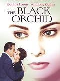 The Black Orchid