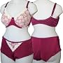 Burgundy Microfibre Overlaid with Cream Lace Bra & Shortie Knickers Set