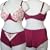 Burgundy Microfibre Overlaid with Cream Lace Bra & Shortie Knickers Set