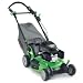 Outdoor Living : Lawn-Boy Insight Gold Series 21-Inch Honda 160 OHV Gas Powered Engine Self-Propelled Lawn Mower with Sens-a-Speed & Blade Control System (Non-CARB Compliant) #10697