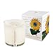 Sweet Sunflower Soy Candle with Plantable Box