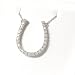 14K White Gold Diamond Horseshoe Pendant w/Chain - 0.25 Ct.