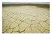 Dried and Cracked Mud Beside Skeleton Coast in West Coast Recreational Area, Namibia Art Photographic Poster Print by Richard Packwood, 64x48