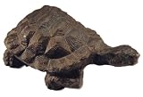 Zoobox ZT-0100F-CB Water Gardening Turtle Copper Bronze Medium
