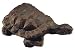 Zoobox ZT-0100F-CB Water Gardening Turtle Copper Bronze Medium